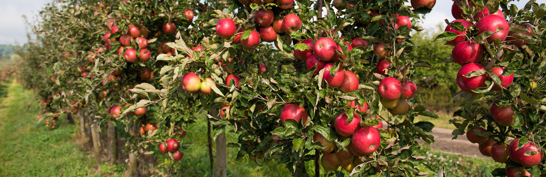 Hospoda Pod Strání